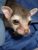 photo thumbnail #3