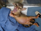 photo thumbnail #4