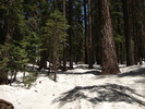 photo thumbnail #6
