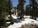 photo thumbnail #8