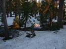 photo thumbnail #14