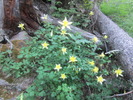 photo thumbnail #1