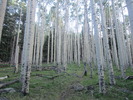 photo thumbnail #2