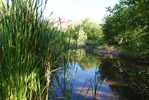 photo thumbnail #2
