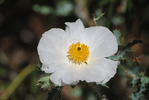 photo thumbnail #14