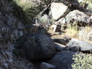 photo thumbnail #9
