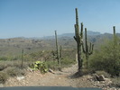 photo thumbnail #1