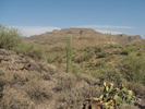 photo thumbnail #5