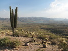 photo thumbnail #8