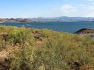 photo thumbnail #3