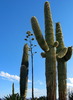 photo thumbnail #6