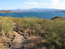 photo thumbnail #7