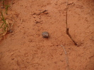 photo thumbnail #12