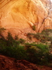 photo thumbnail #13