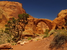photo thumbnail #15
