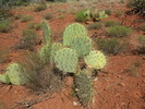 photo thumbnail #6