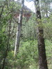 photo thumbnail #15
