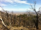 photo thumbnail #1