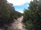 photo thumbnail #5