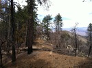 photo thumbnail #9