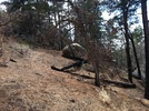 photo thumbnail #10