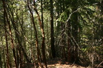 photo thumbnail #10