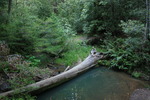 photo thumbnail #12