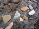 photo thumbnail #15