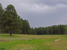 photo thumbnail #13