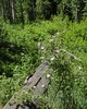 2011-07-01 :2: Little Spring to Bismark Lake :: fotogirl53