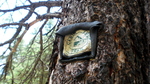 photo thumbnail #8