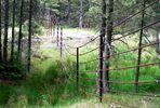 photo thumbnail #9