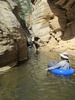 photo thumbnail #7