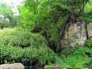 photo thumbnail #12