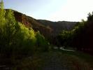 photo thumbnail #5