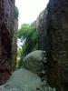 photo thumbnail #15