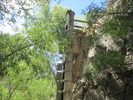 photo thumbnail #8