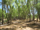 photo thumbnail #9