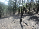photo thumbnail #9