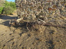 photo thumbnail #8