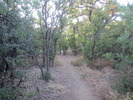 photo thumbnail #13