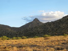 photo thumbnail #14