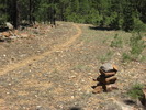 photo thumbnail #3