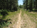 photo thumbnail #5