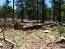 photo thumbnail #9