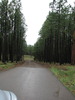 photo thumbnail #2