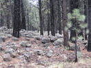 photo thumbnail #3