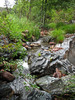 photo thumbnail #8