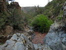photo thumbnail #13