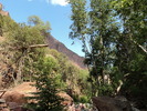 photo thumbnail #5